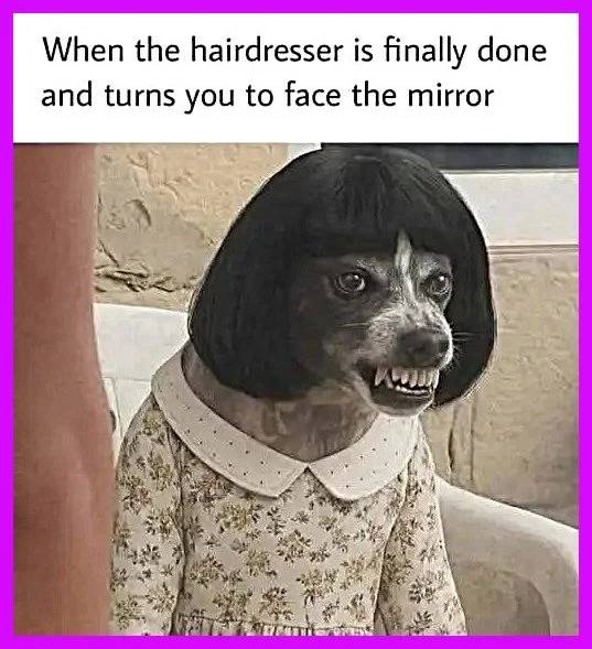 Hairdresser.webp