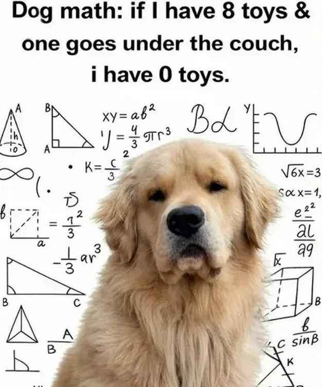 1779456586509-o3.webp