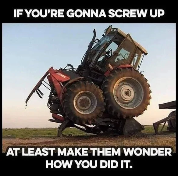 makem wonder.webp