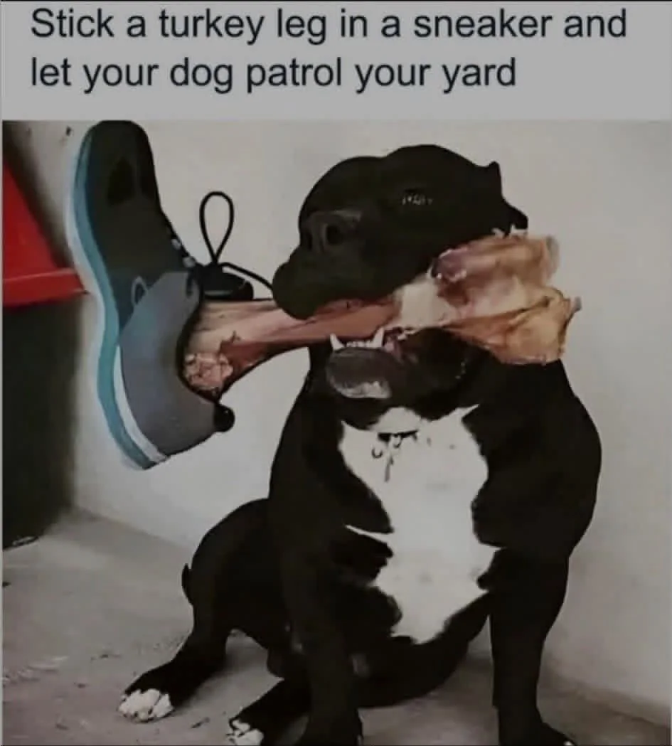 1779821584541-t9.webp