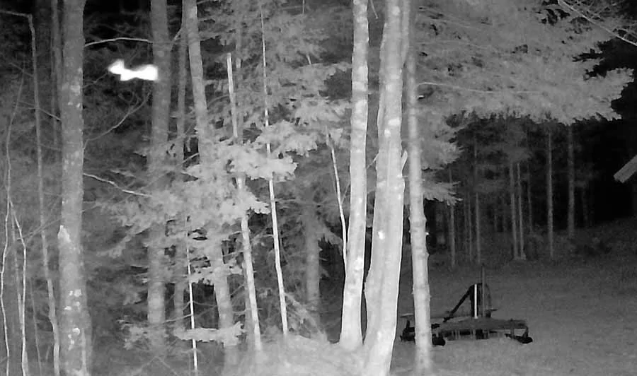 campflyingS83.webp