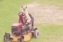 1780252982442-zk.gif