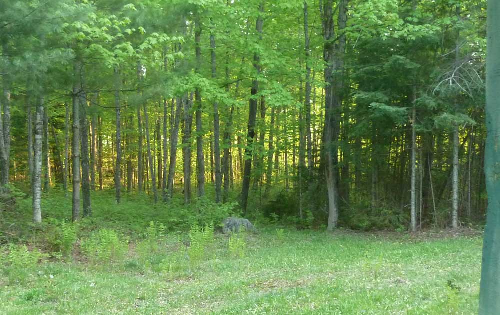 campmoringsun069.jpg