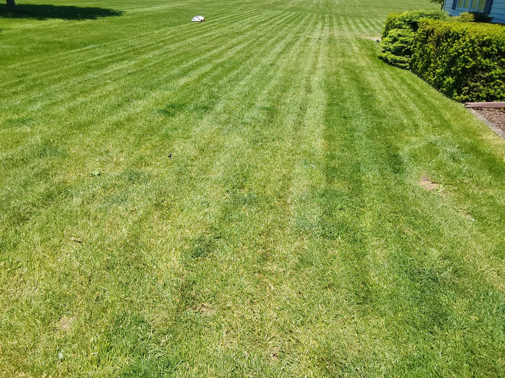 20260601_130640.webp