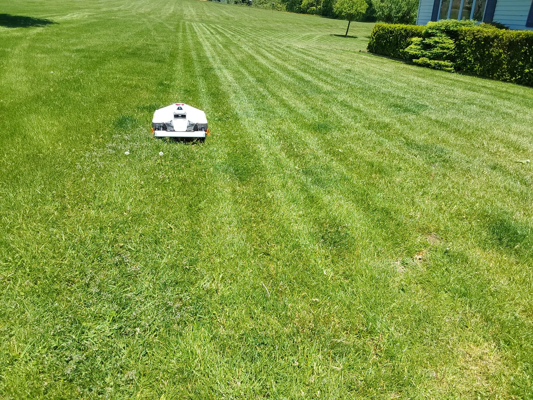 20260601_130038.webp