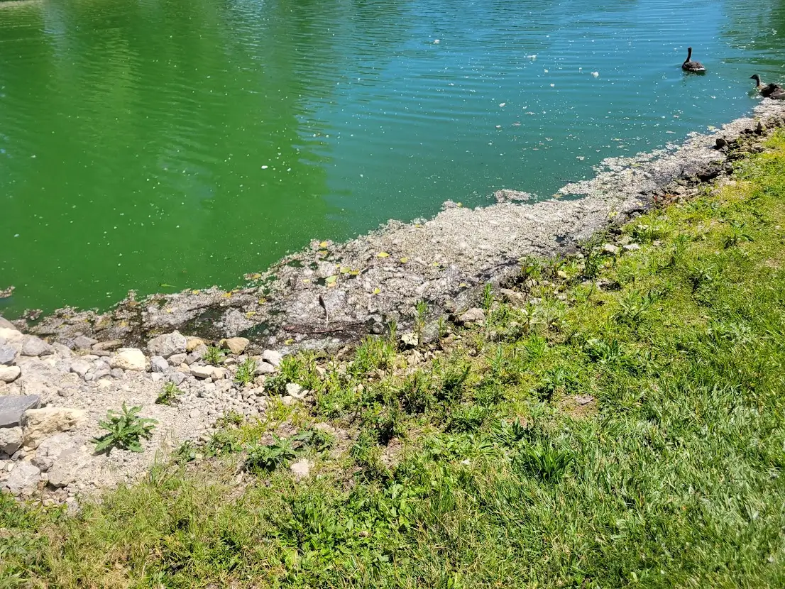 1780501562330-8k.webp