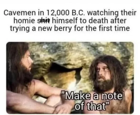 Cavemen.webp