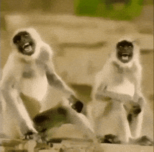 IMG_1803.gif