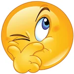 suspicious-smiley copy.webp