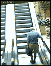 1782006323312-0o.gif