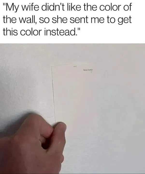 Wall.webp