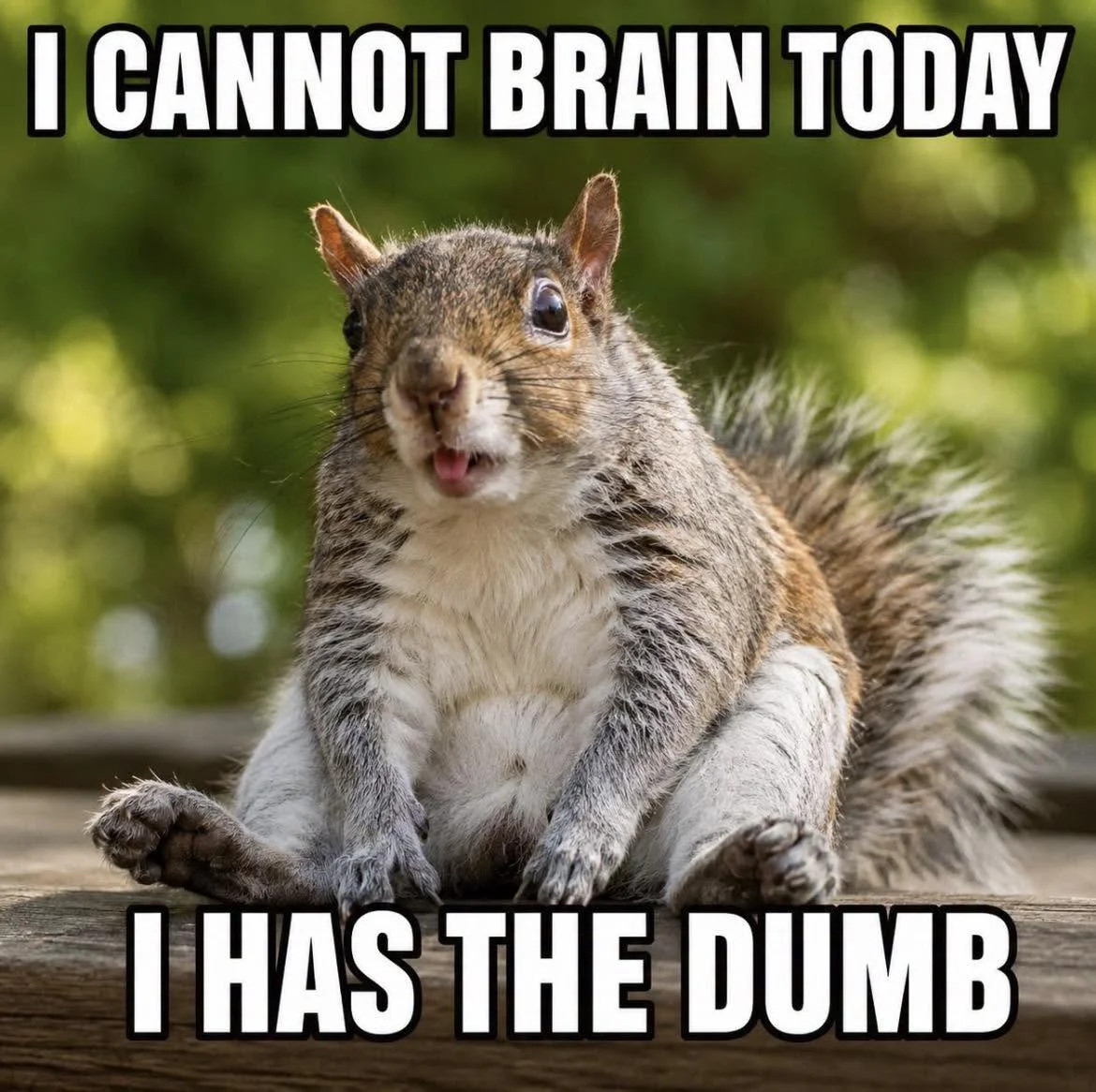 Brain.webp