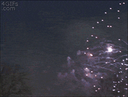 1783277931203-2c.gif