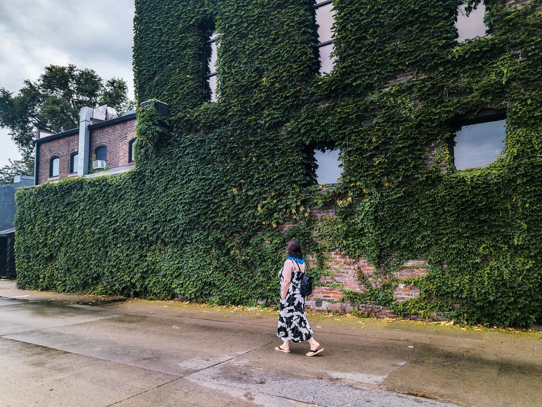 PXL_20260704_143118824.RAW-02.ORIGINAL (1).webp