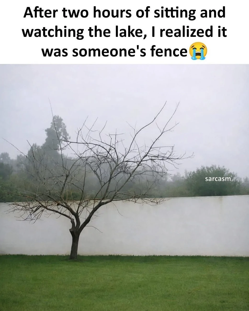 1783520701174-o8.webp
