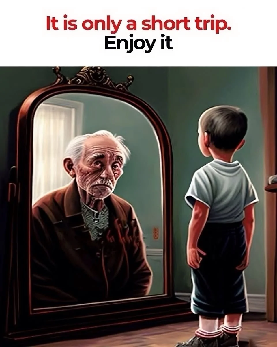 1783703197360-uz.webp