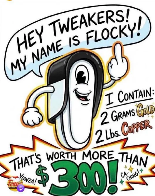Flock.webp