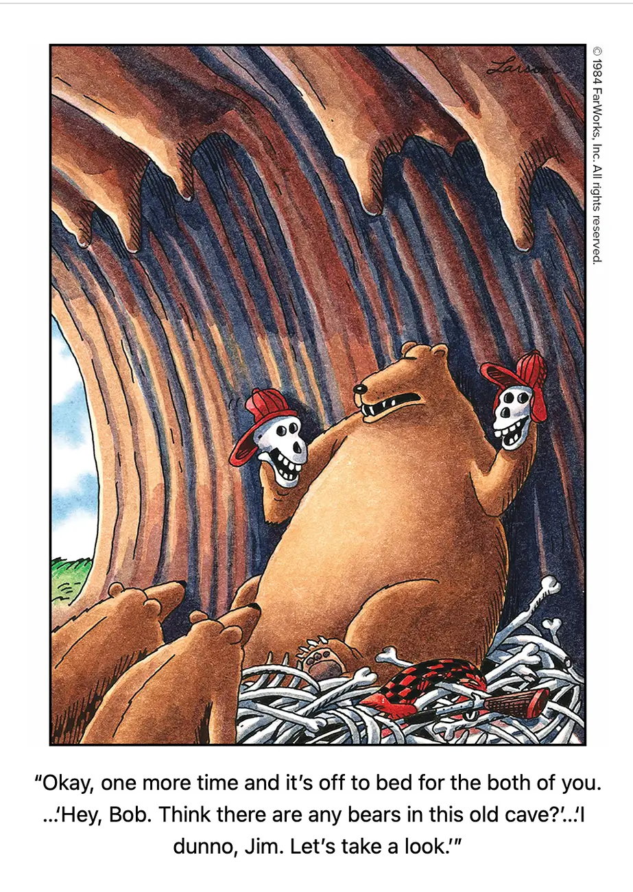 Far Side any bears in this old cave.webp