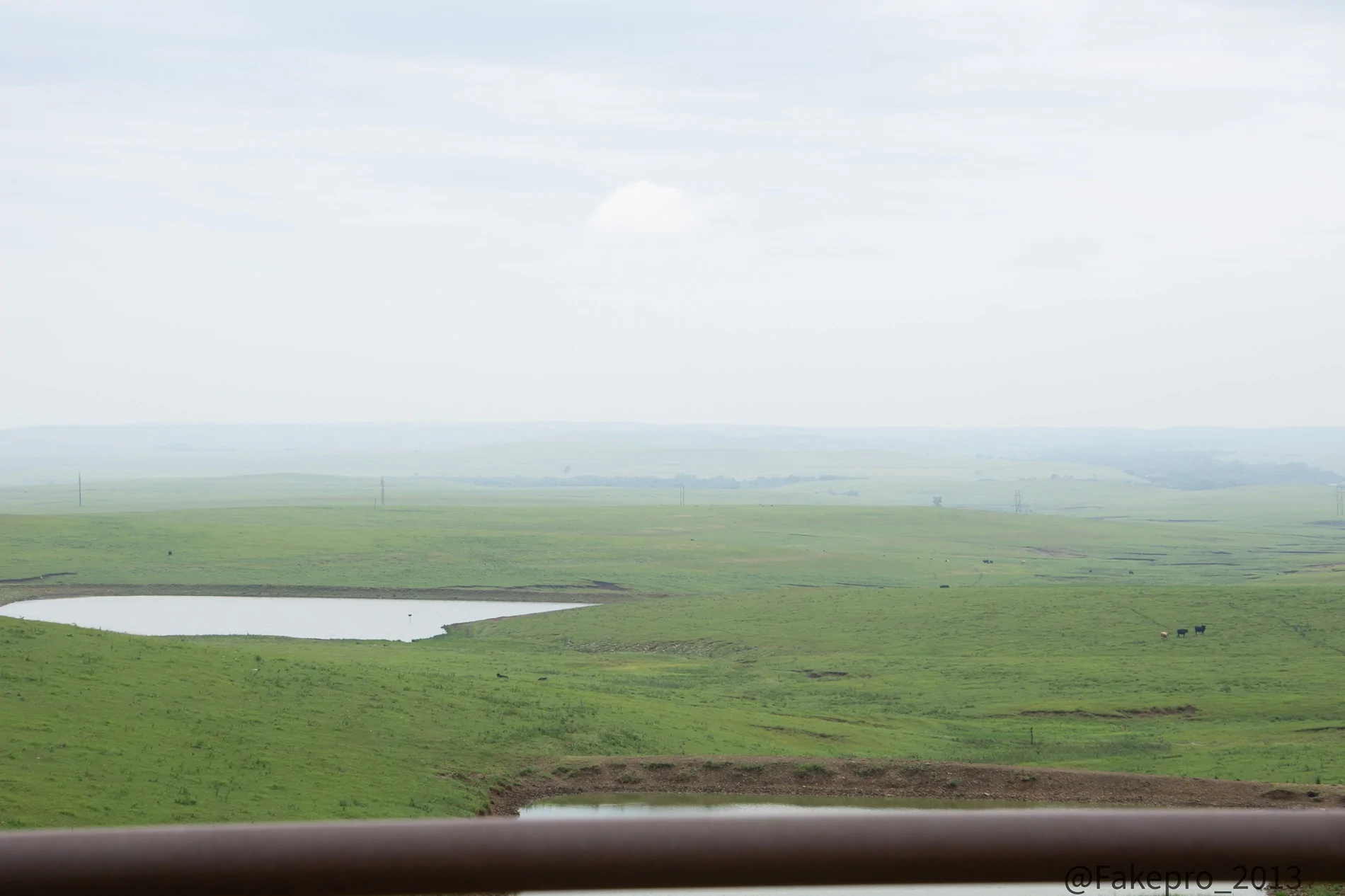 DSC09050.webp