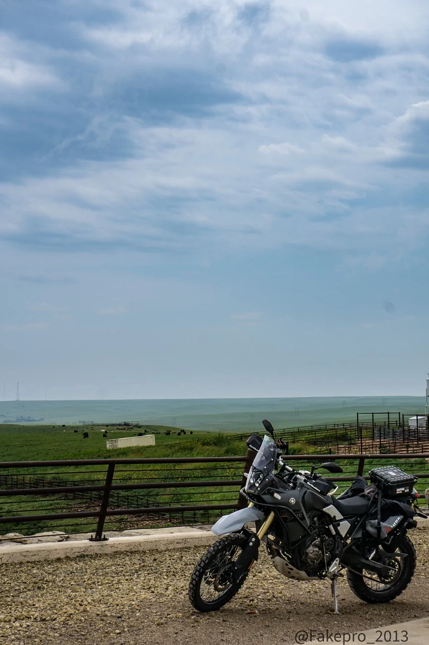 DSC09058.webp