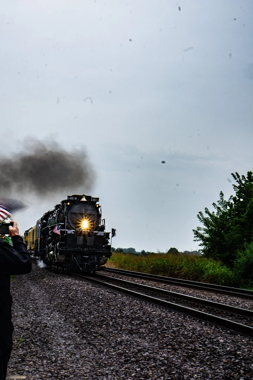 DSC08944.webp