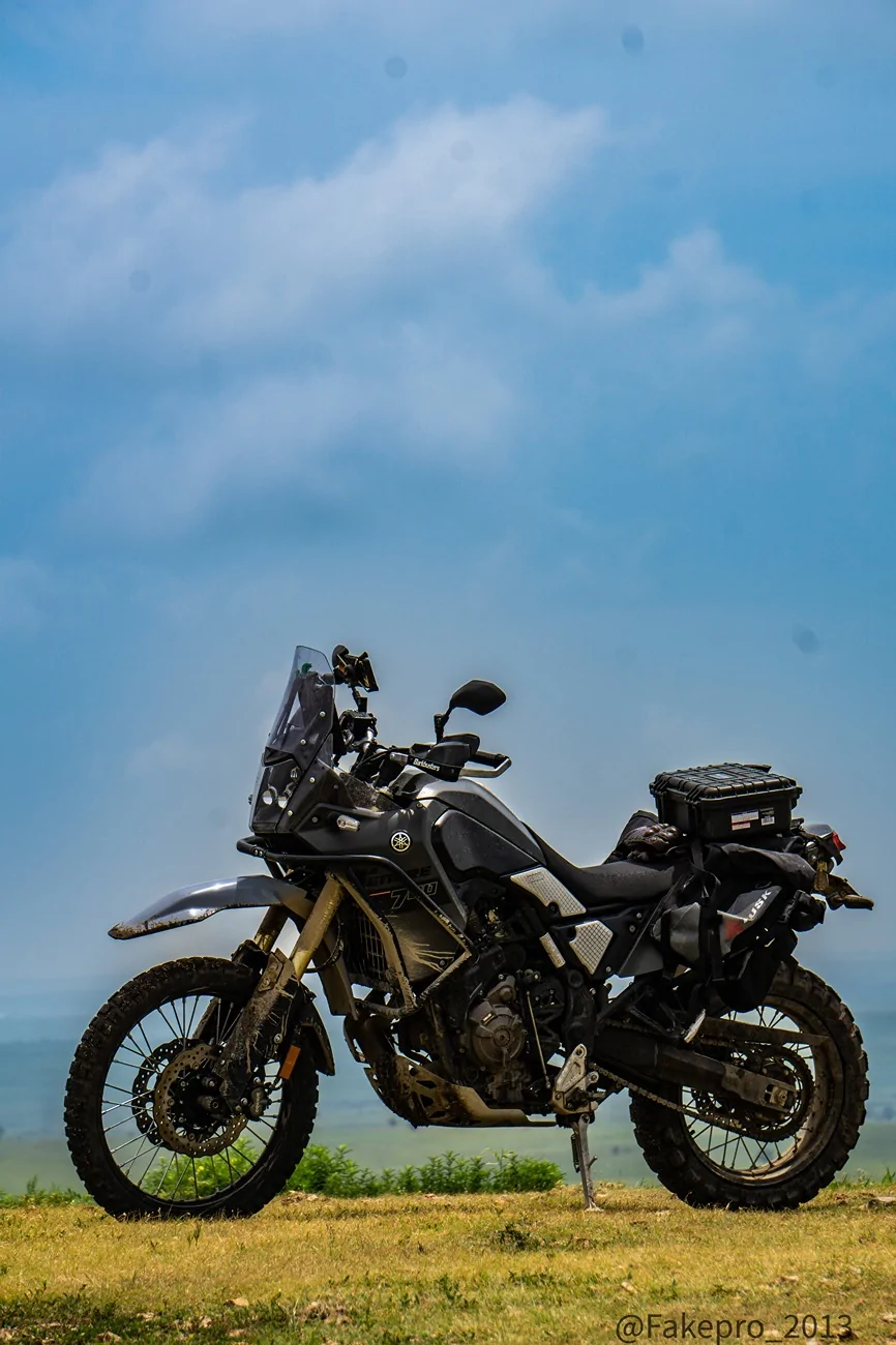 DSC09084.webp