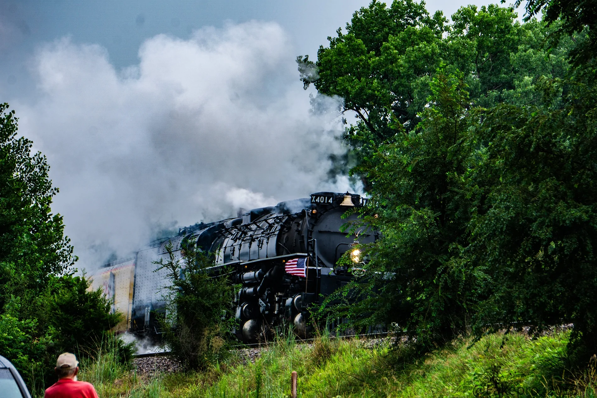 DSC09020.webp