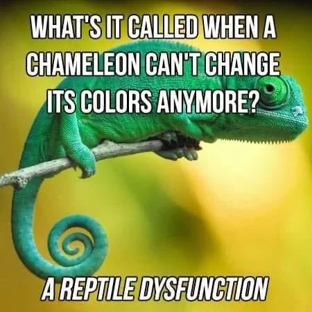 1785247766087-xk.webp