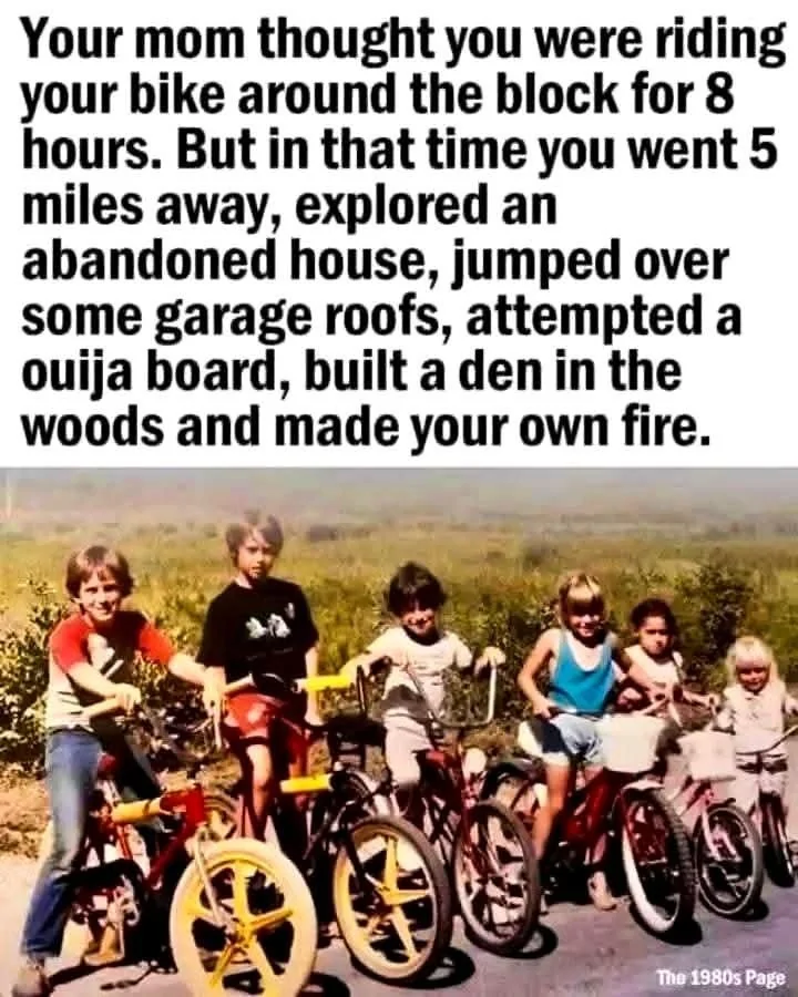 1785428313695-l0.webp