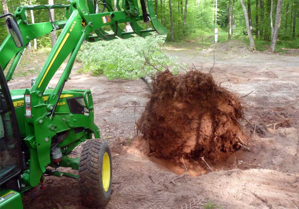 4066stump39.jpg