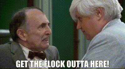 d7b79ef6-2b7f-4019-b11a-077d8ff55675_text.gif