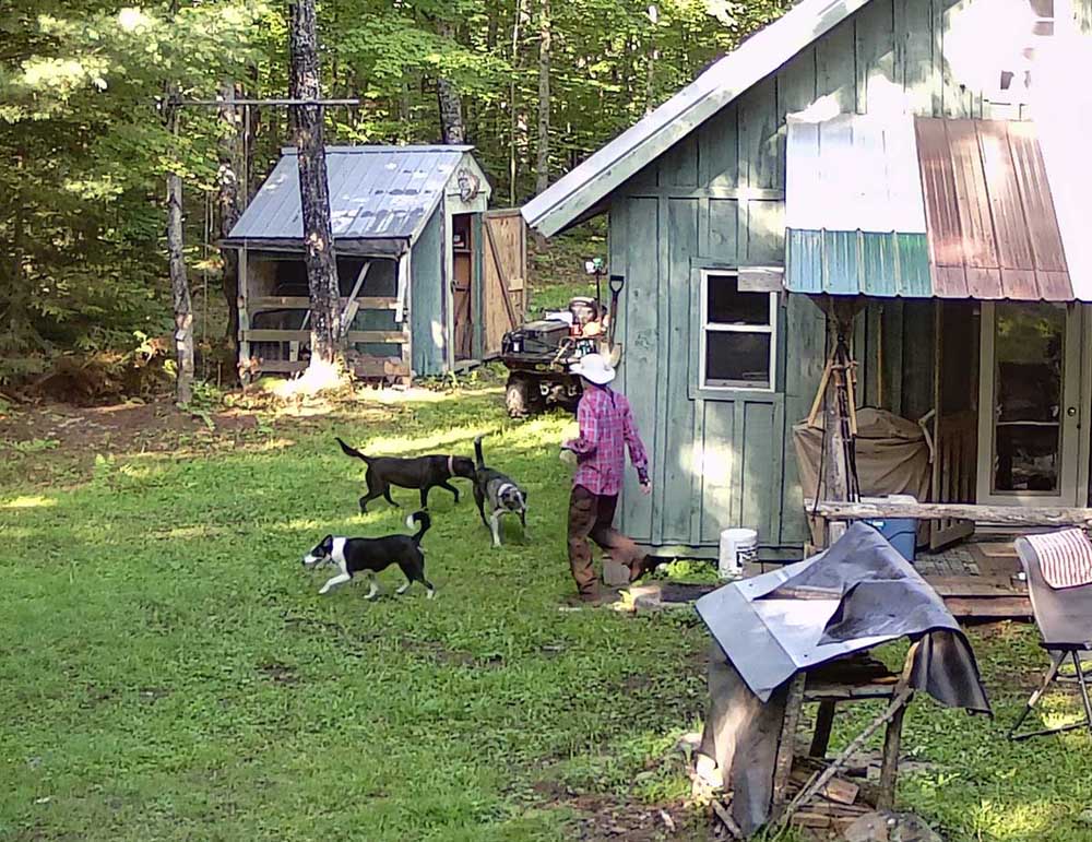 campmutts7.jpg