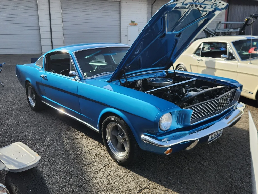 mustang blue.webp
