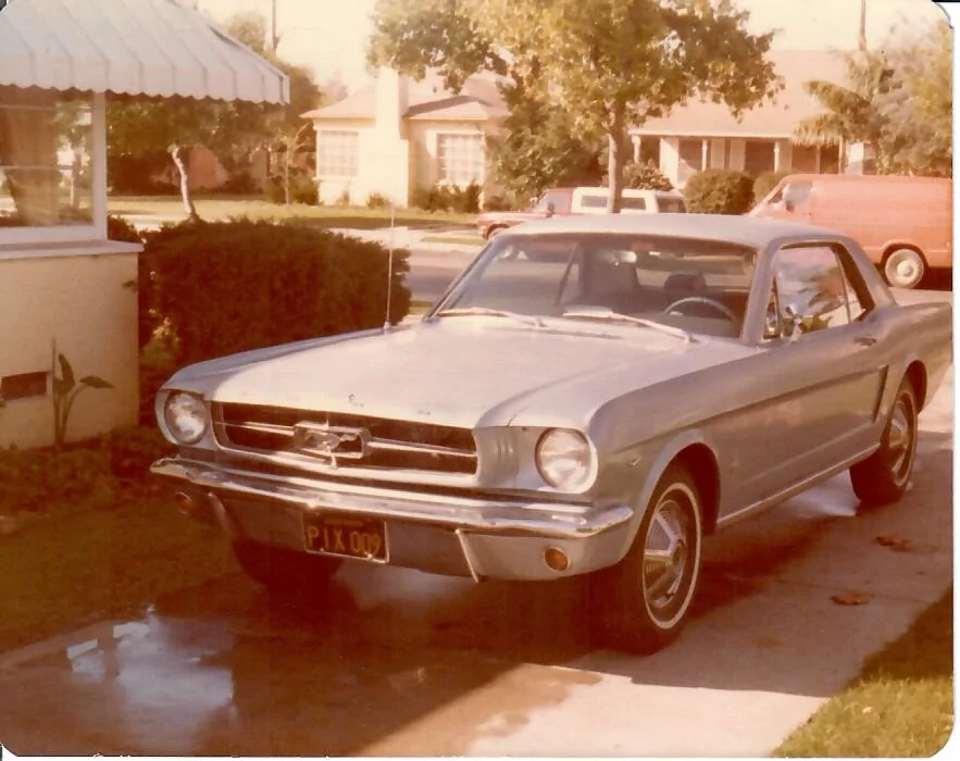 65 stang.webp