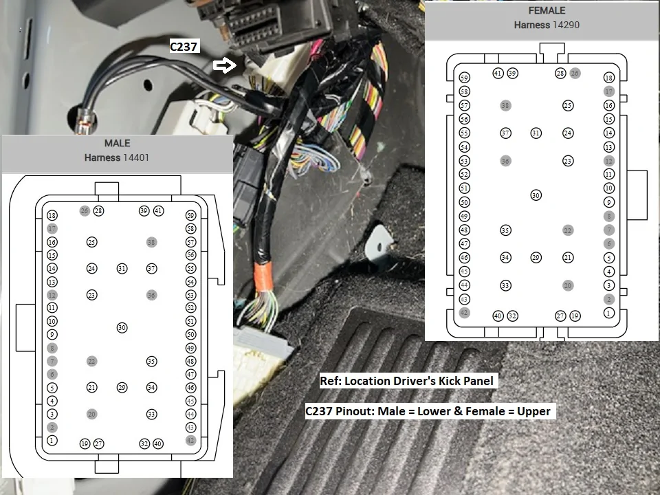 C237 Detailed.webp