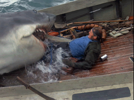 Shark_Bite-3550487990.gif