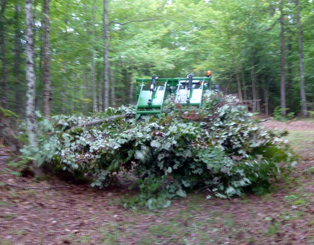 4066campgrapple111.jpg