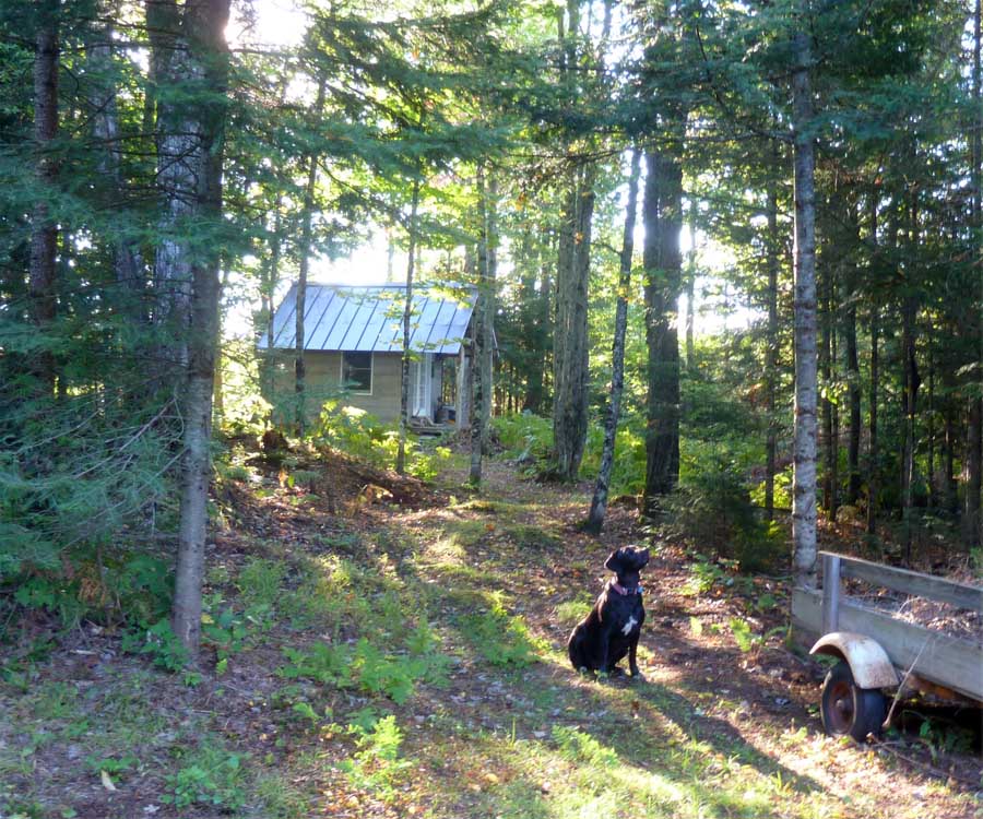 campmorninglulu24.jpg