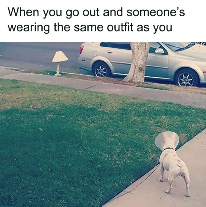 Outfit.webp