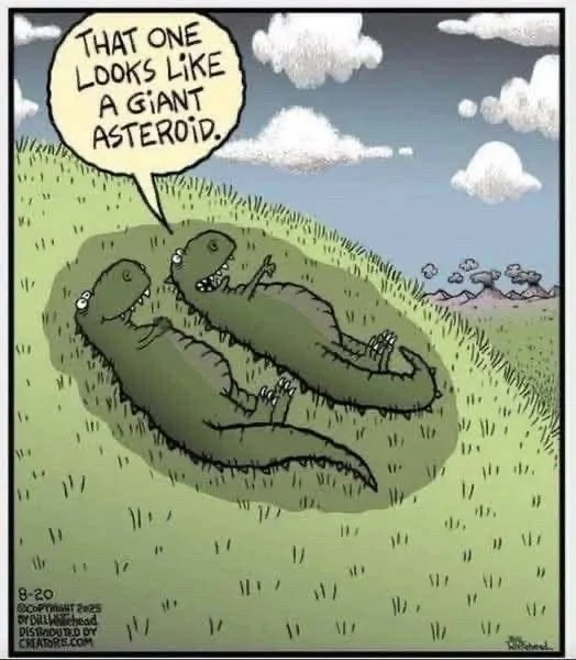 Asteroid.webp