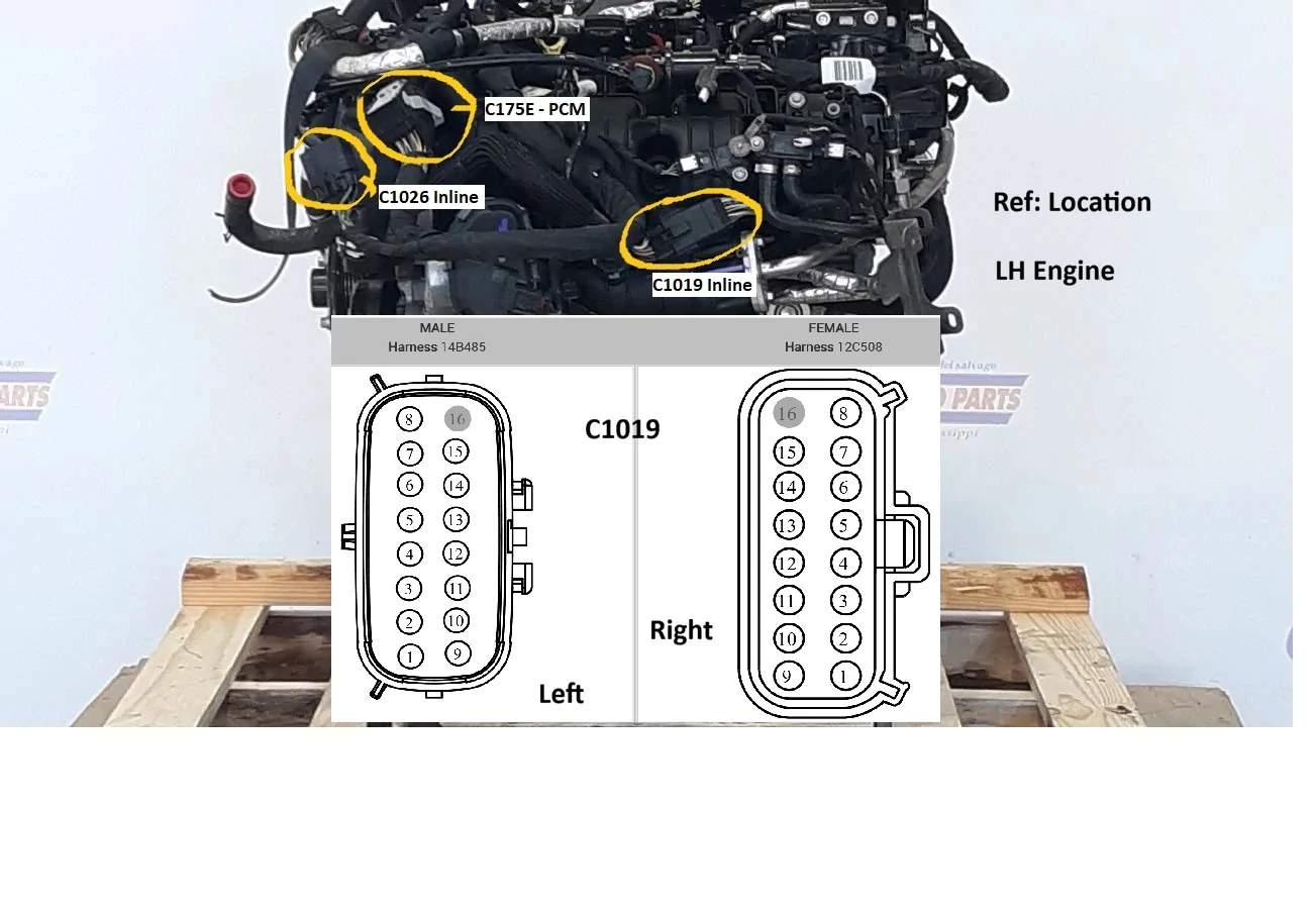 C1019 Detailed.webp