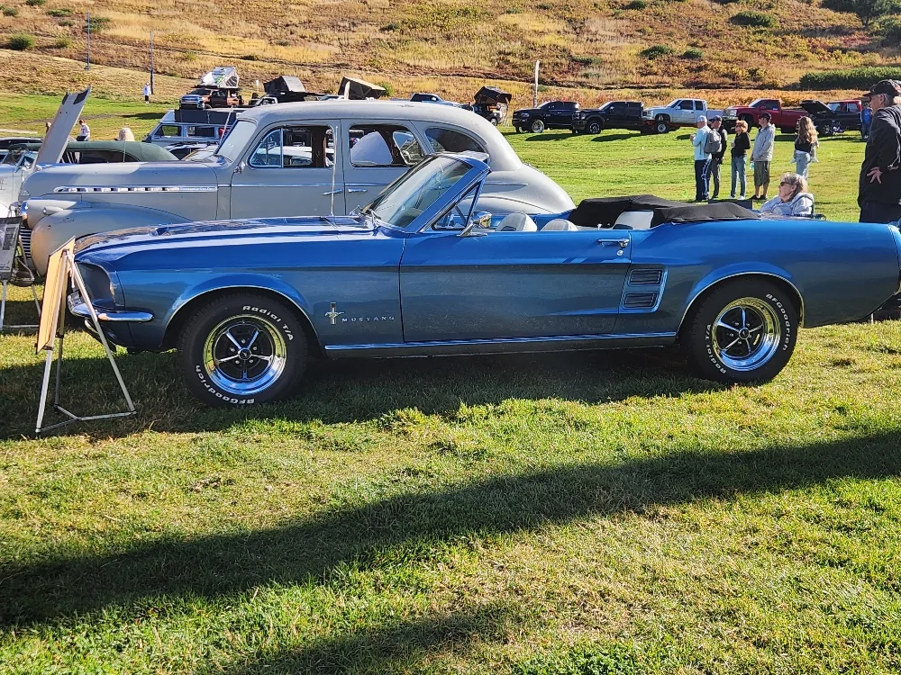 67 mustang.webp