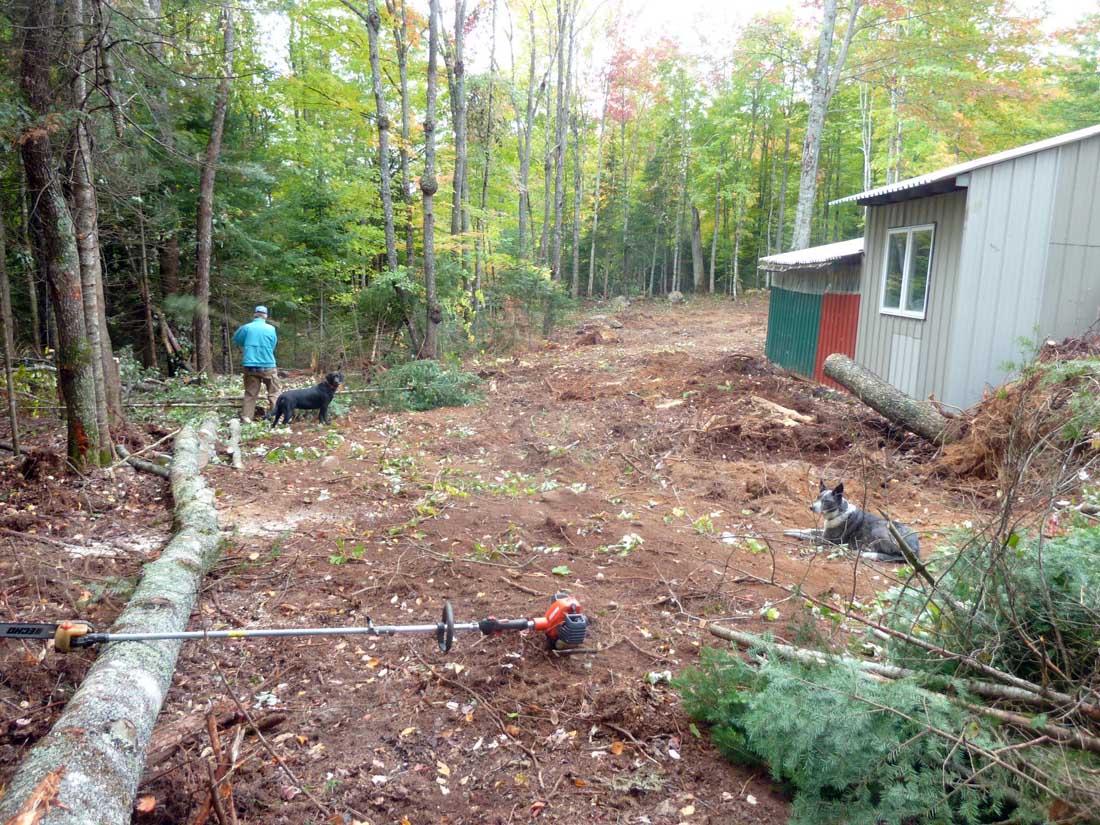 campgargetrees909.jpg