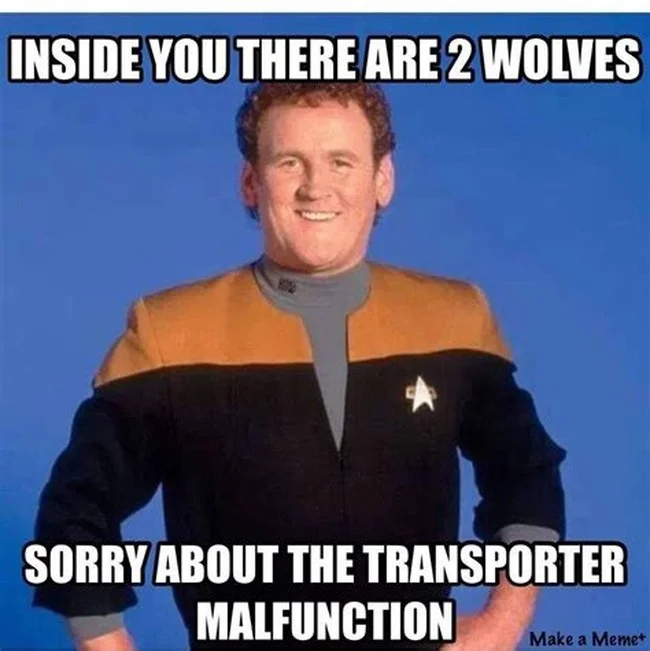Transporter.webp