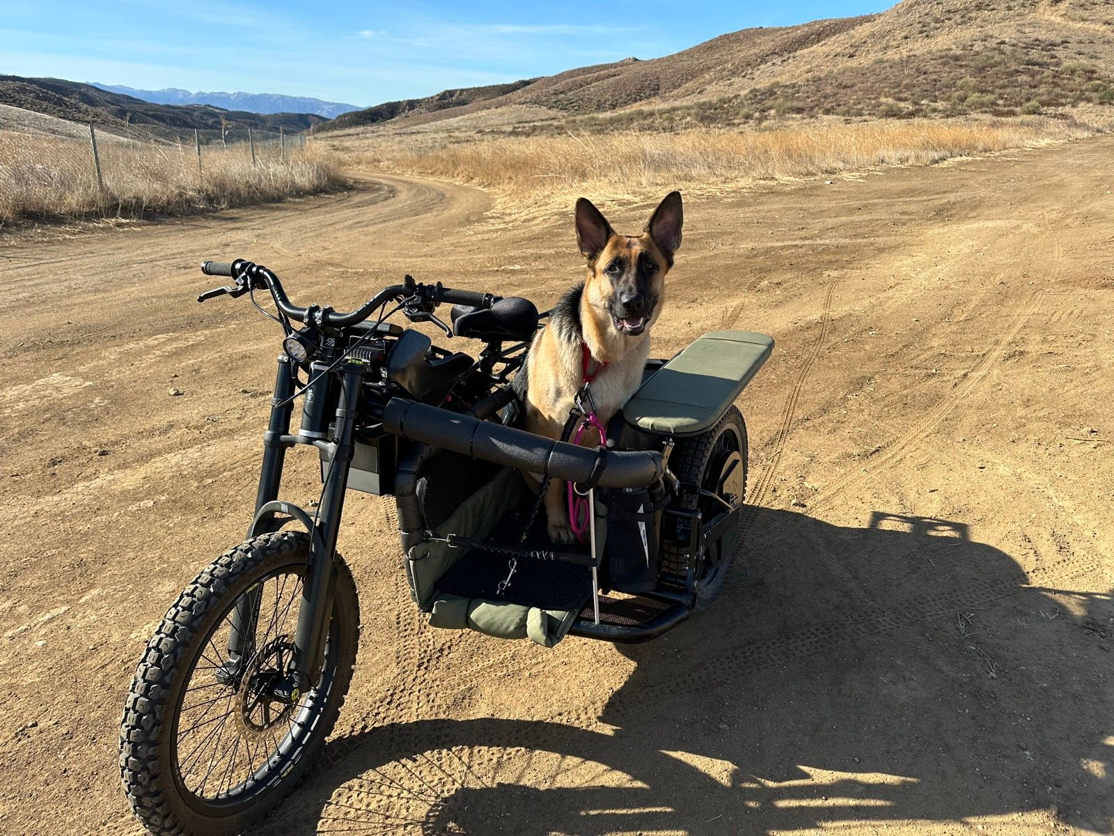 Tilly in the sidehack.jpg
