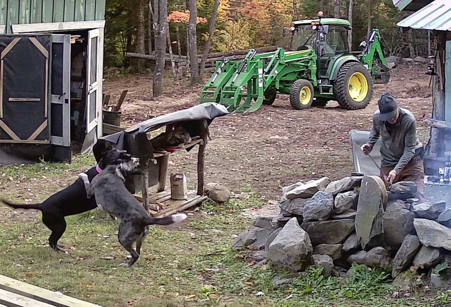 campdogstussle714.jpg