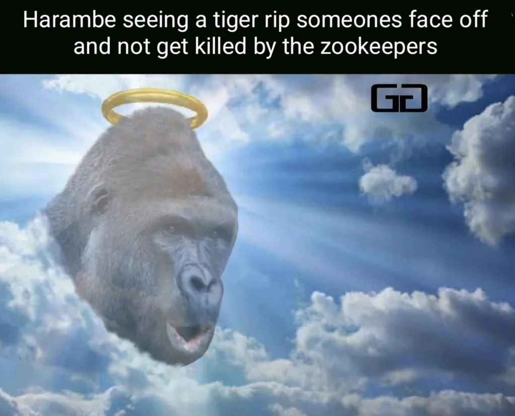 Harambe.webp