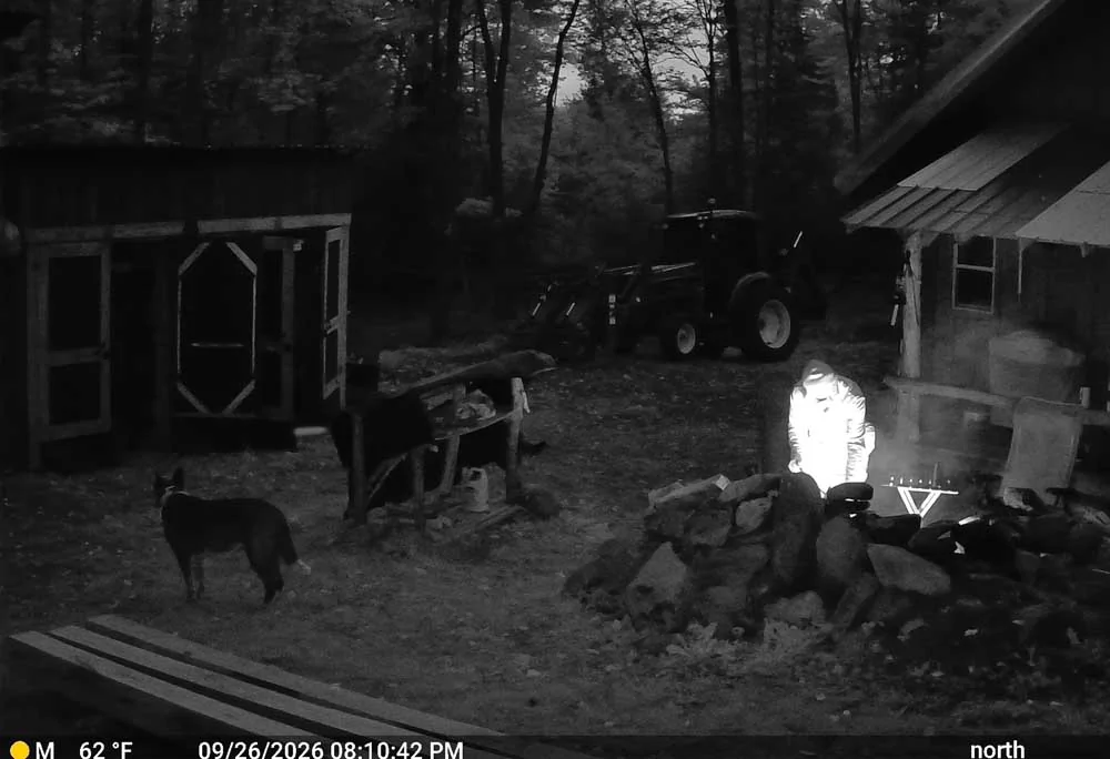 campfire887.webp