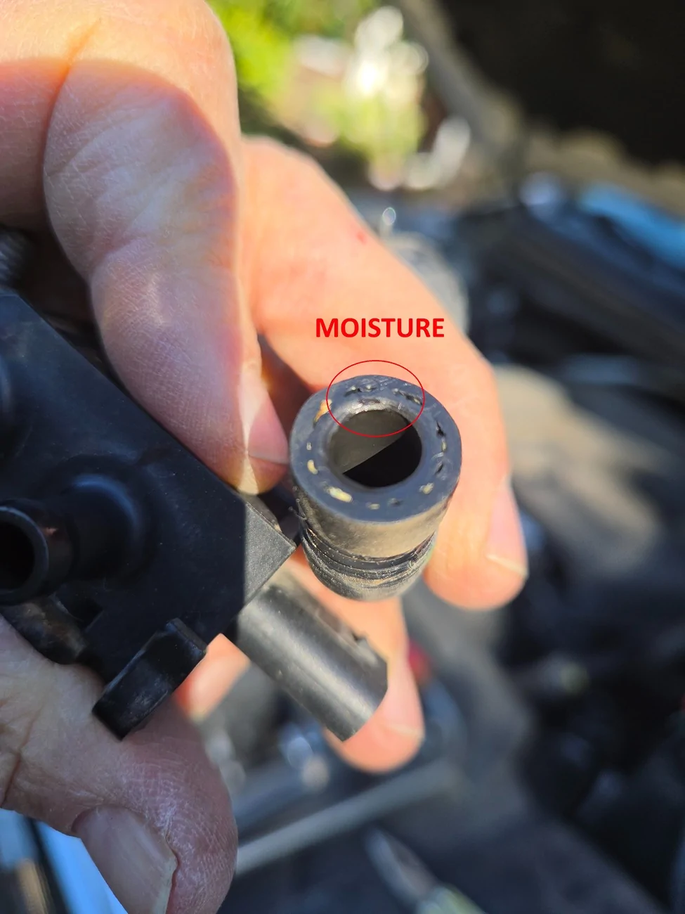 moisture on tube 9753.webp