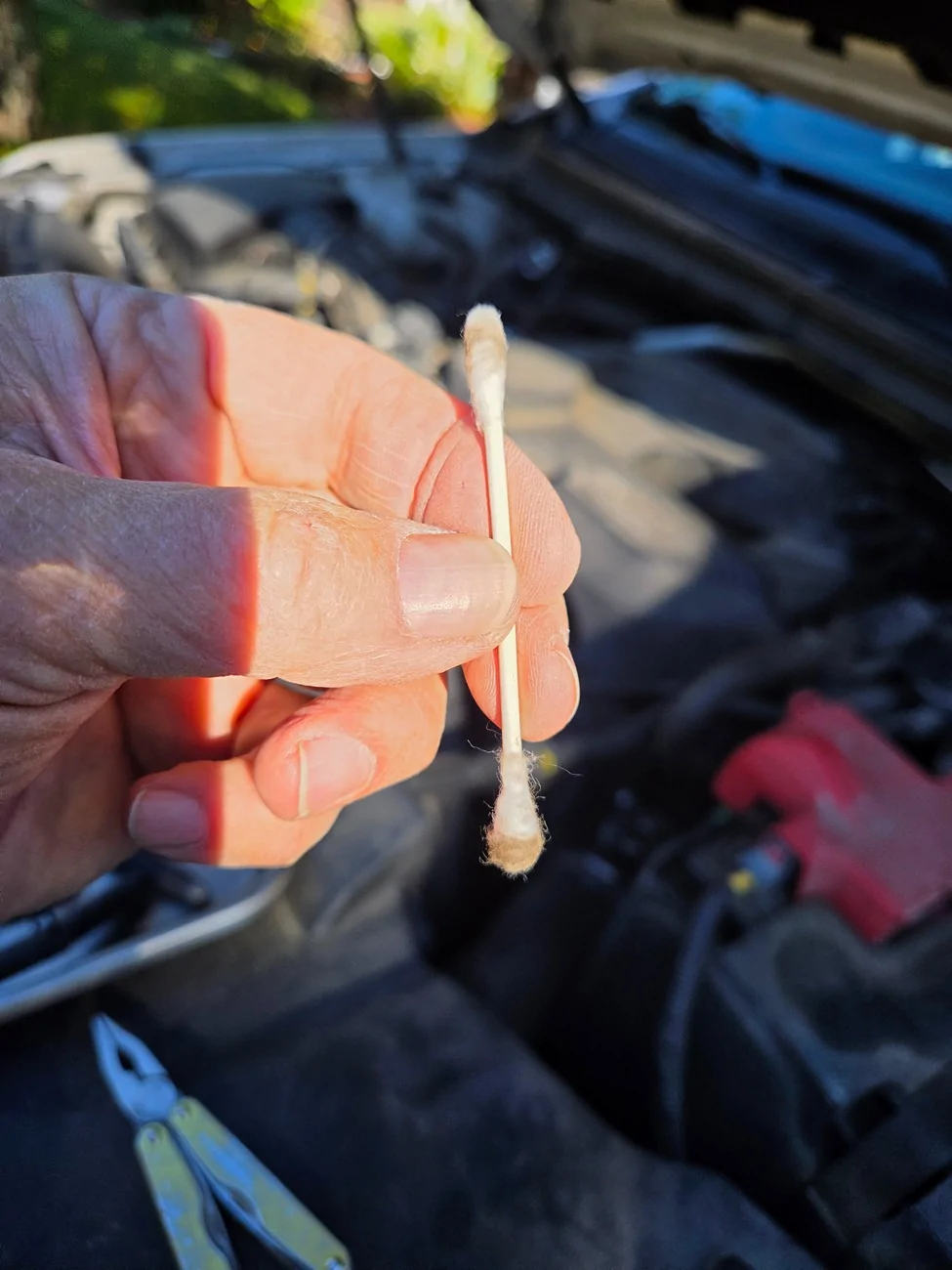 cotton swab 9754.webp